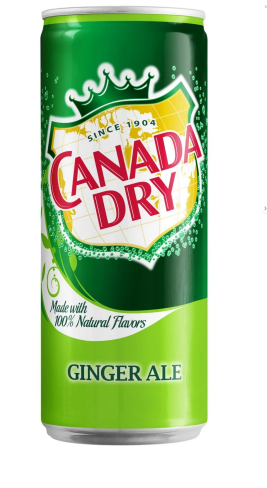 Canada Dry 330 ML 24 Adet